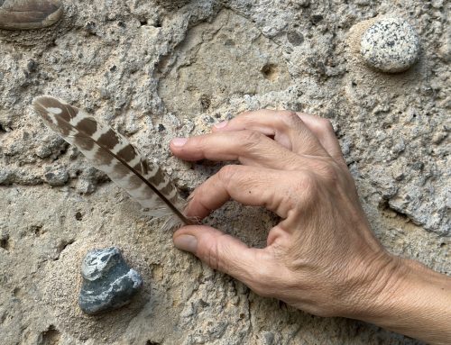 Mŏvĕo: l’arte di vivere il movimento – novembre